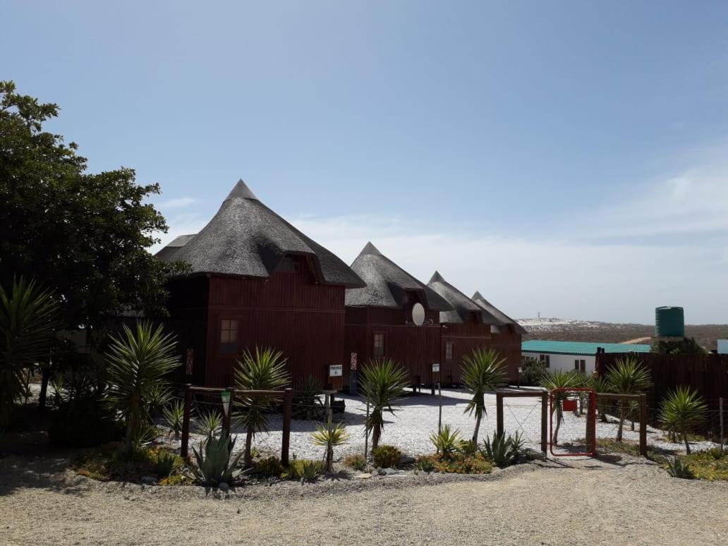 Honne-Pondokkies Hondeklipbaai ภายนอก รูปภาพ