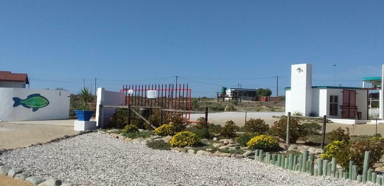 Honne-Pondokkies Hondeklipbaai ภายนอก รูปภาพ
